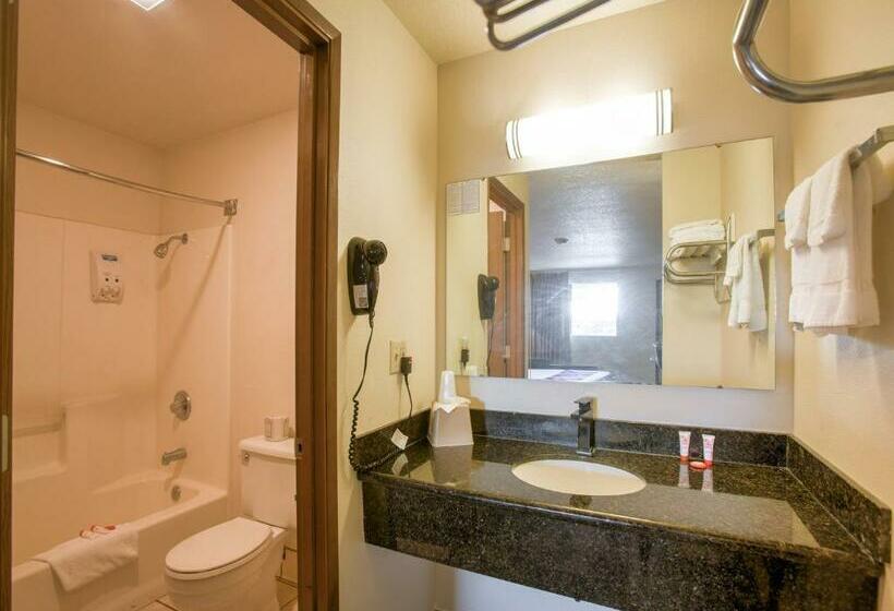 غرفة قياسية, OYO Woodland Hotel and Suites