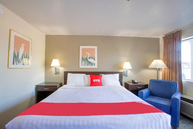 غرفة قياسية سرير كينج, OYO Woodland Hotel and Suites