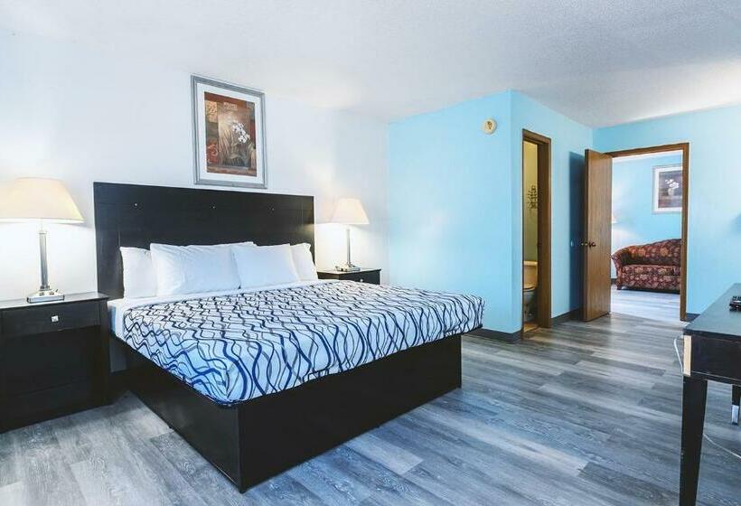 חדר סטנדרט, Sky Palace Inn & Suites Wellington