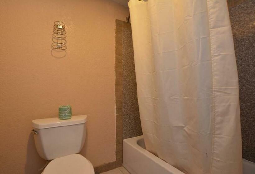 غرفه قياسيه سريرين مزدوجين, Newcastle Motel