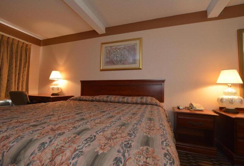 Номер Deluxe Кровать Кинг, Newcastle Motel