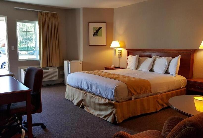 스탠다드 룸 킹사이즈 침대, Pacific Motel