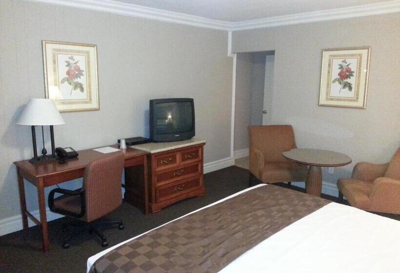 스탠다드 룸 킹사이즈 침대, Pacific Motel