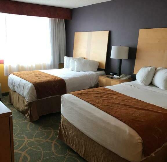 ２ダブルベッドのスタンダードルーム, Trip Hotel Ithaca