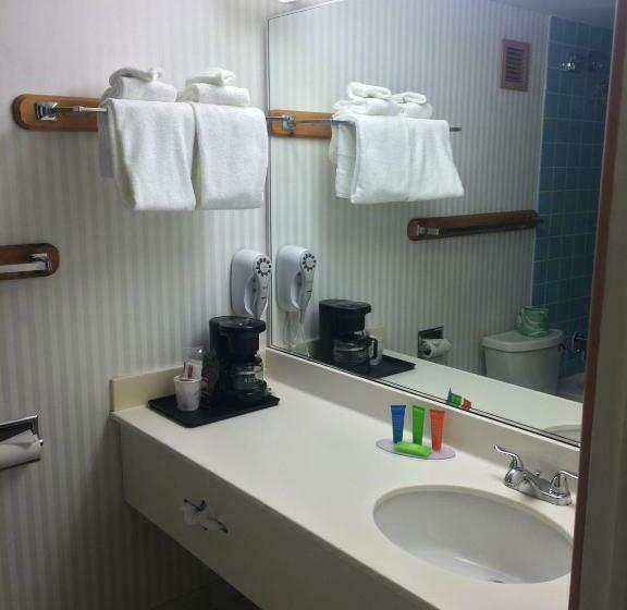 غرفه قياسيه سريرين مزدوجين, Trip Hotel Ithaca