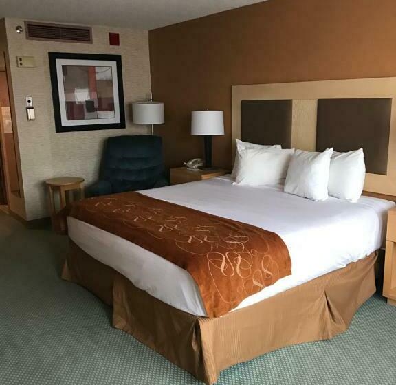 Стандартный Номер Кровать Кинг, Trip Hotel Ithaca
