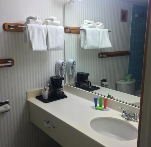 身障者適用スタンダードルーム, Trip Hotel Ithaca