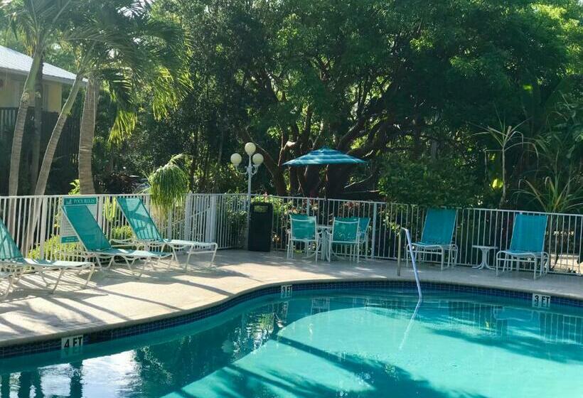 חדר בסיסי, Bay Harbor Lodge