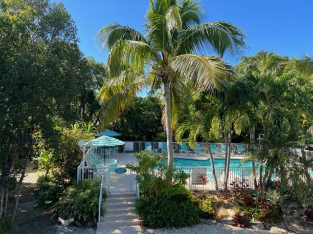 סוויטת ג'וניור, Bay Harbor Lodge