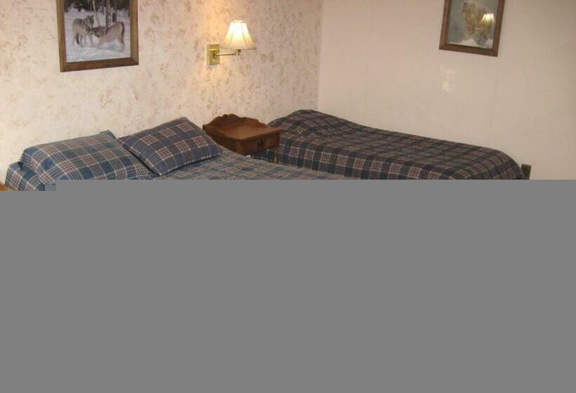اتاق استاندارد با 2 تخت دوبل, Big Bears Lodge