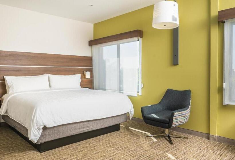 스위트 킹사이즈 침대, Holiday Inn Express & Suites   Lake Forest, An Ihg