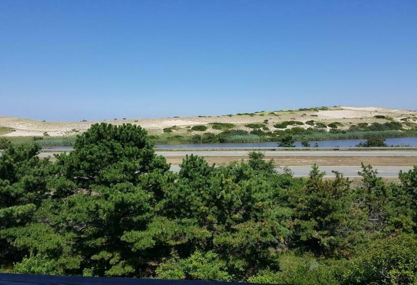 غرفة قياسية, Blue Sea Motor Inn