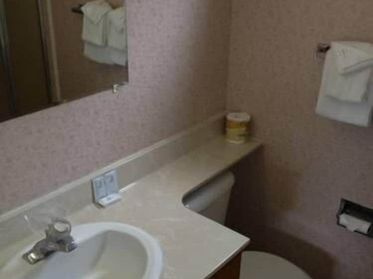 غرفه قياسيه سريرين مزدوجين, Country Inn