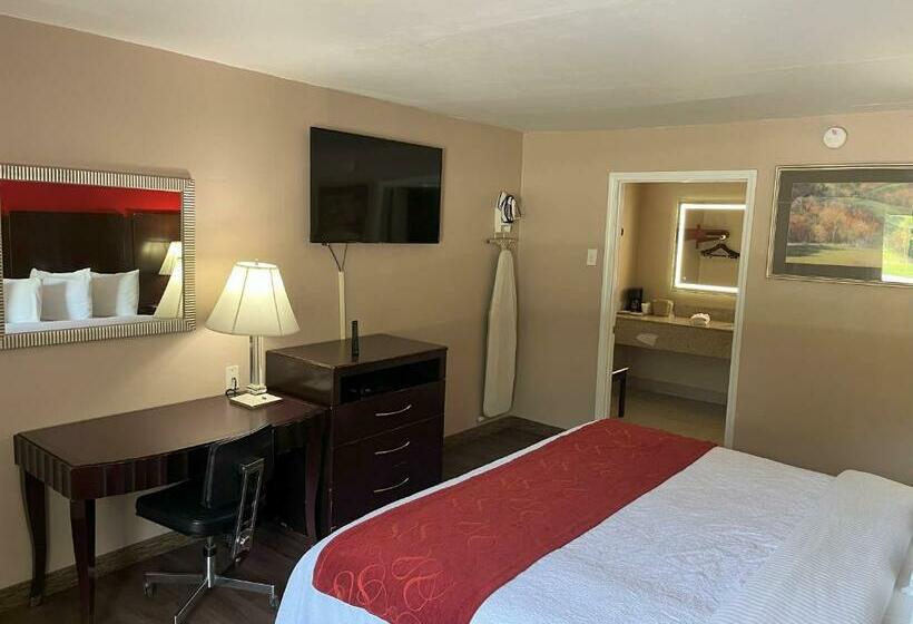 身障者適用キングサイズベッドルーム, Pinetree Inn