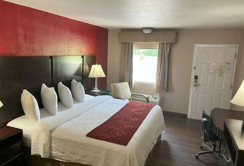 身障者適用キングサイズベッドルーム, Pinetree Inn