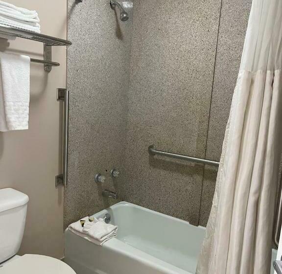 身障者適用キングサイズベッドルーム, Pinetree Inn