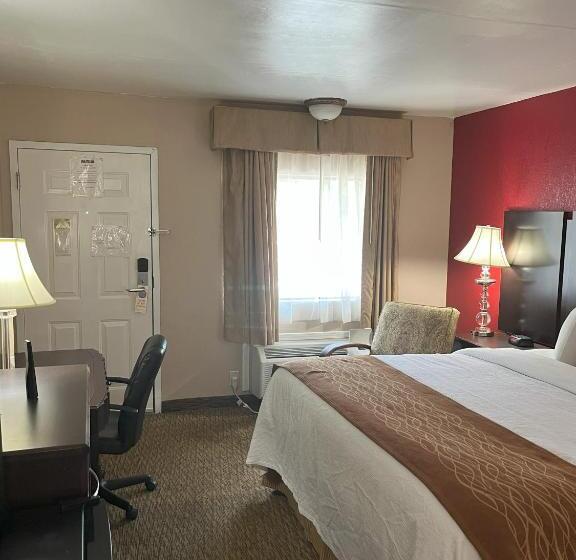 キングサイズベッドのスタンダードルーム, Pinetree Inn