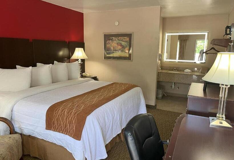 キングサイズベッドのスタンダードルーム, Pinetree Inn