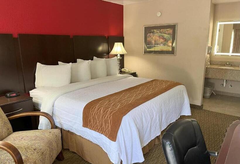 キングサイズベッドのスタンダードルーム, Pinetree Inn