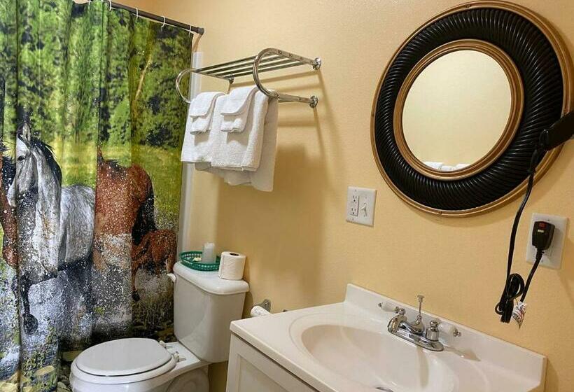 غرفة قياسية, Western Motel