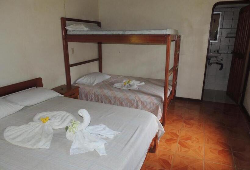 Номер Стандарт Трехместный, Corcovado Wild Hostel