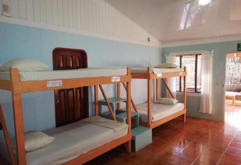 Кровать в Общей Комнате, Corcovado Wild Hostel