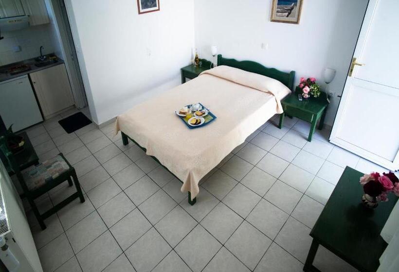 غرفة قياسية مطلّة علي حمام السباحة, Aiolos