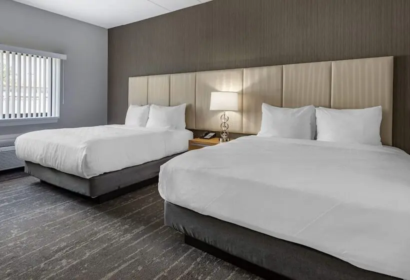 デラックススイート, Amwell Suites Somerset/bridgewater