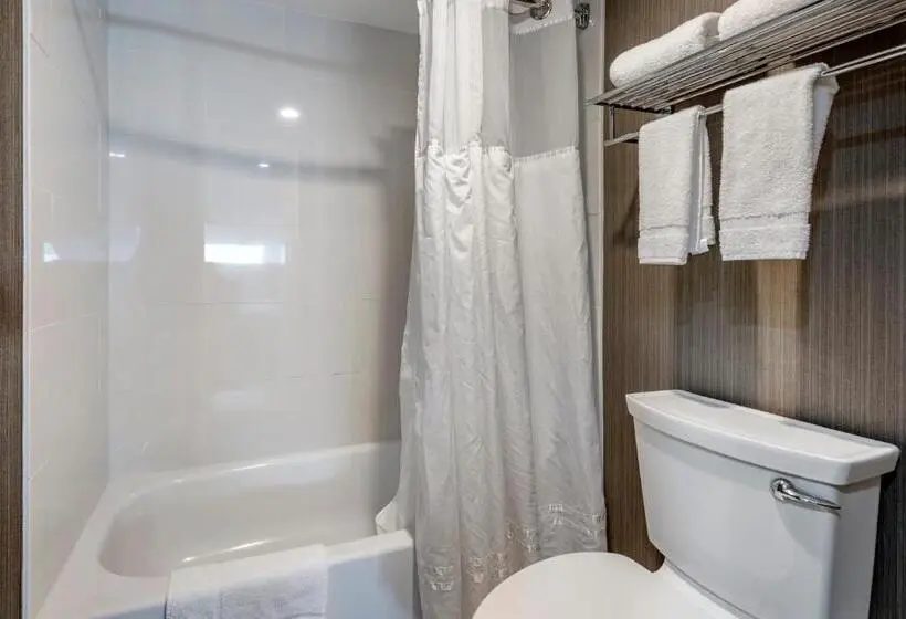 デラックススイート, Amwell Suites Somerset/bridgewater