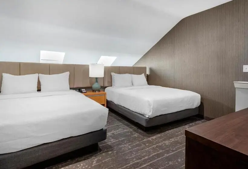 デラックススイート, Amwell Suites Somerset/bridgewater