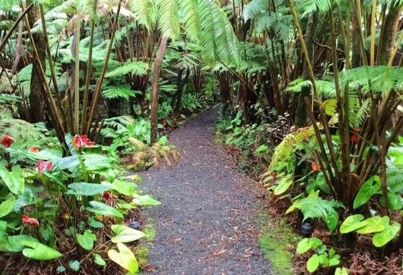 带1个卧室的高级公寓, The Pacifica Inn