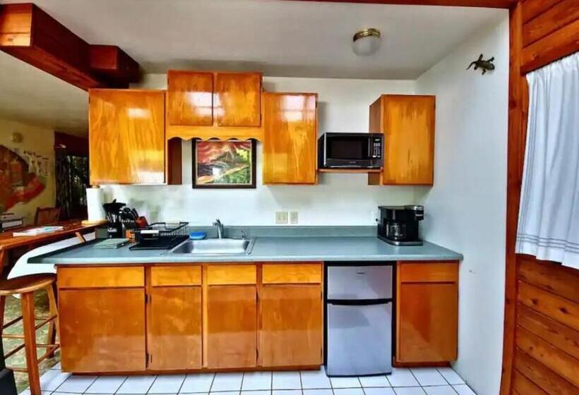 带1个卧室的高级公寓, The Pacifica Inn