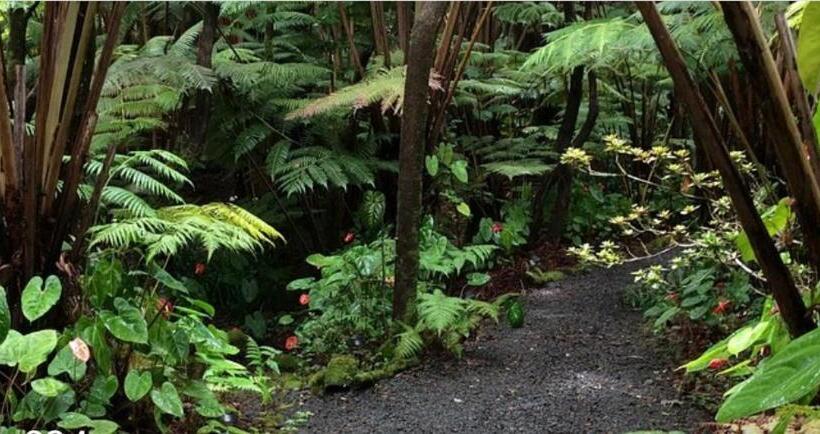 带1个卧室的高级公寓, The Pacifica Inn