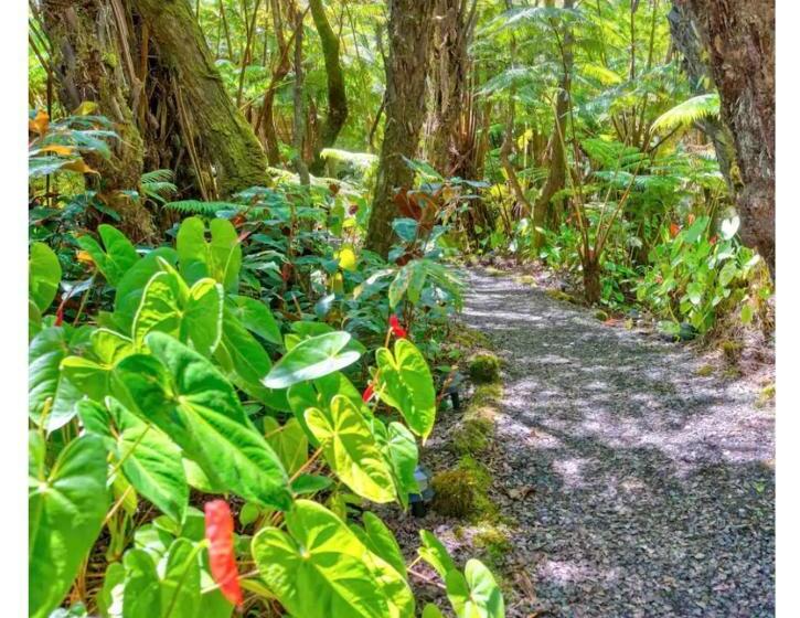 带花园景观的标准工作室, The Pacifica Inn