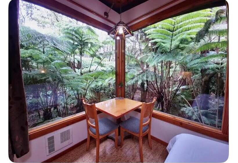 带花园景观的标准工作室, The Pacifica Inn