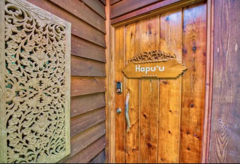 Студио Стандарт Вид на Сад, The Pacifica Inn