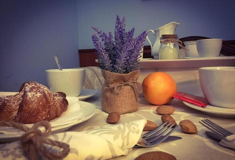 غرفة قياسية, Malaga