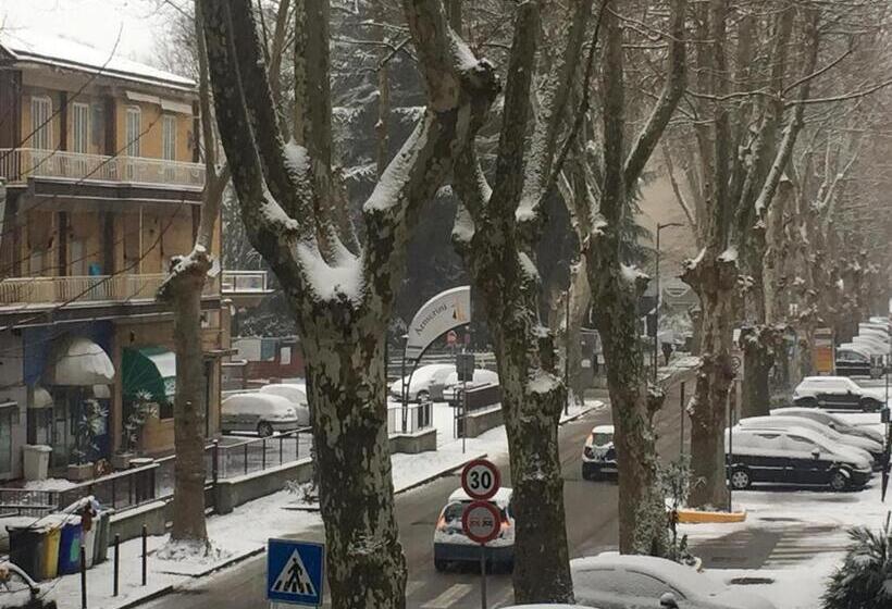 غرفة قياسية فردية, Malaga