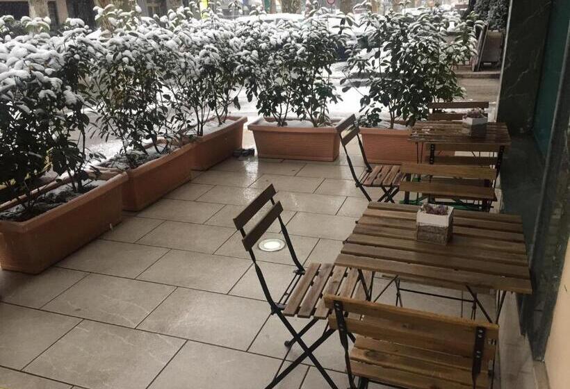 غرفة قياسية فردية, Malaga