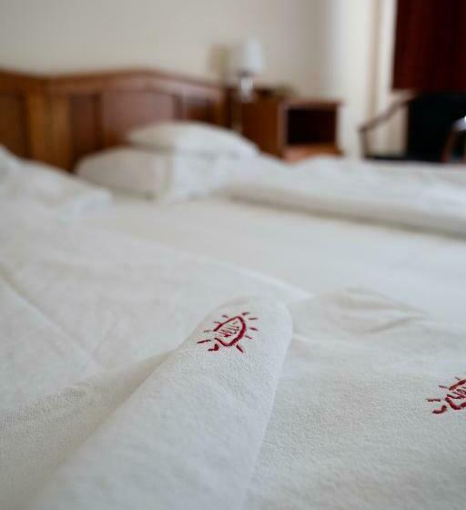 带阳台的三人标准间, Well