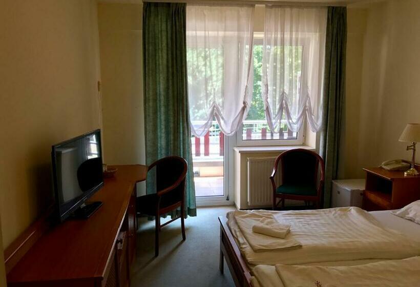 标准间带阳台, Well