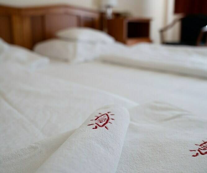 带阳台的标准单人间, Well