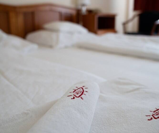 带阳台的标准单人间, Well