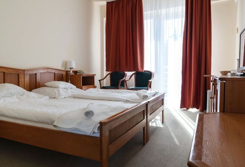 标准间带阳台, Well