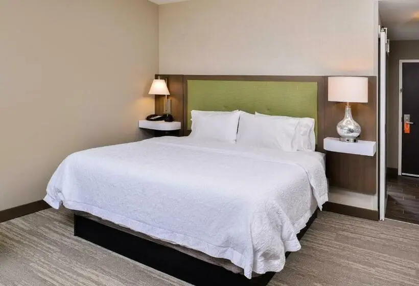 Standard-huone King-vuode, Hampton Inn Omaha Airport