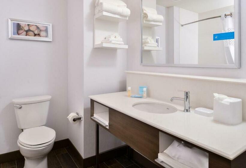 חדר סטנדרט עם מיטת קינג, Hampton Inn Omaha Airport