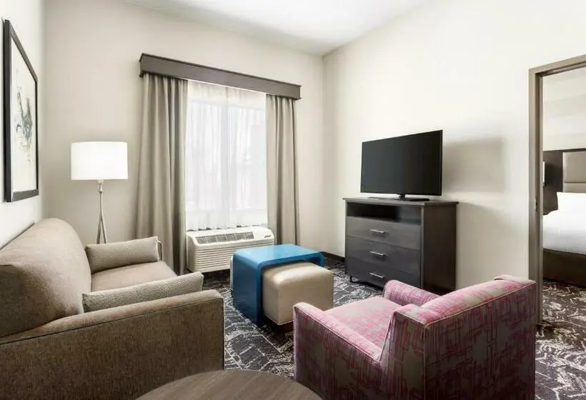 سوئیت با تخت بزرگ, Homewood Suites By Hilton San Jose Santa Clara