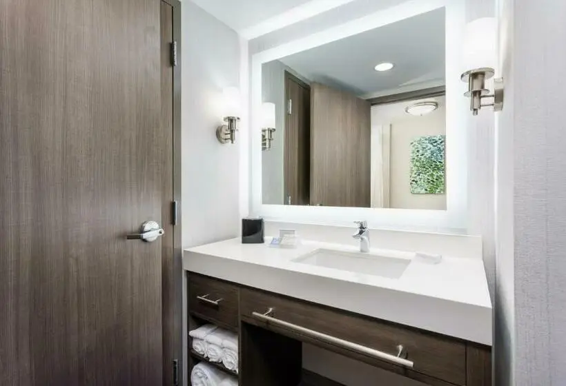 سوئیت با تخت بزرگ, Homewood Suites By Hilton San Jose Santa Clara