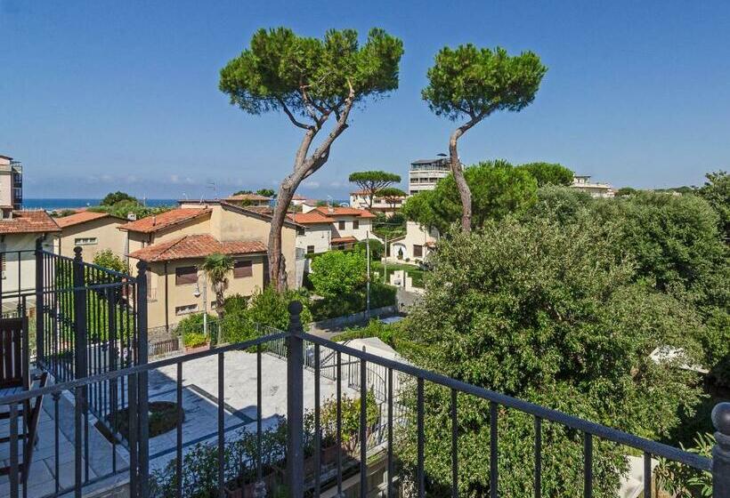 غرفة قياسية, Le Focette