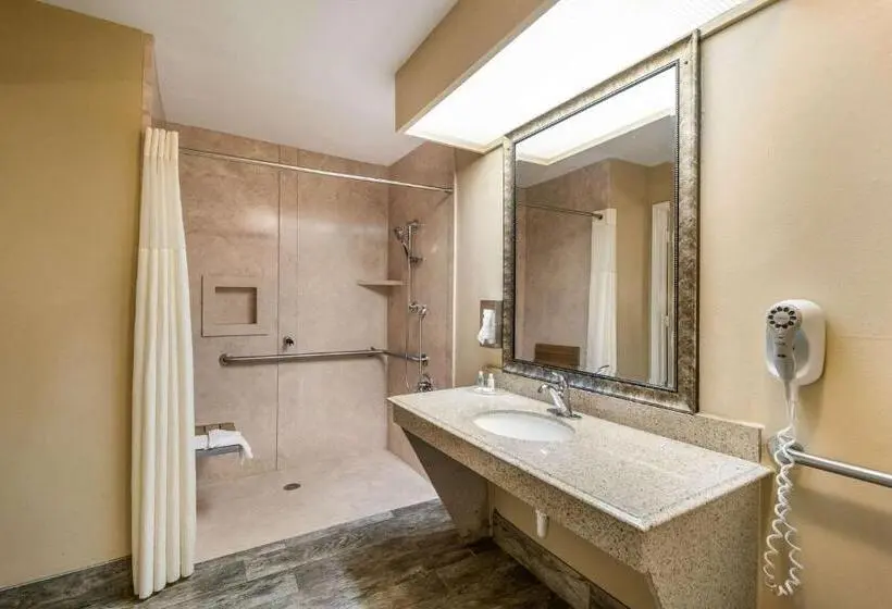 Standard-invahuone King-vuode, Quality Inn & Suites Garland East Dallas